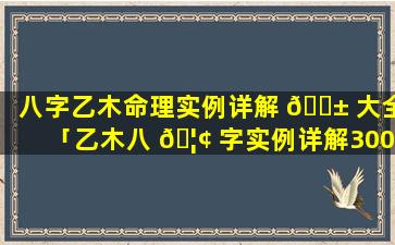 八字乙木命理实例详解 🐱 大全「乙木八 🦢 字实例详解300例」